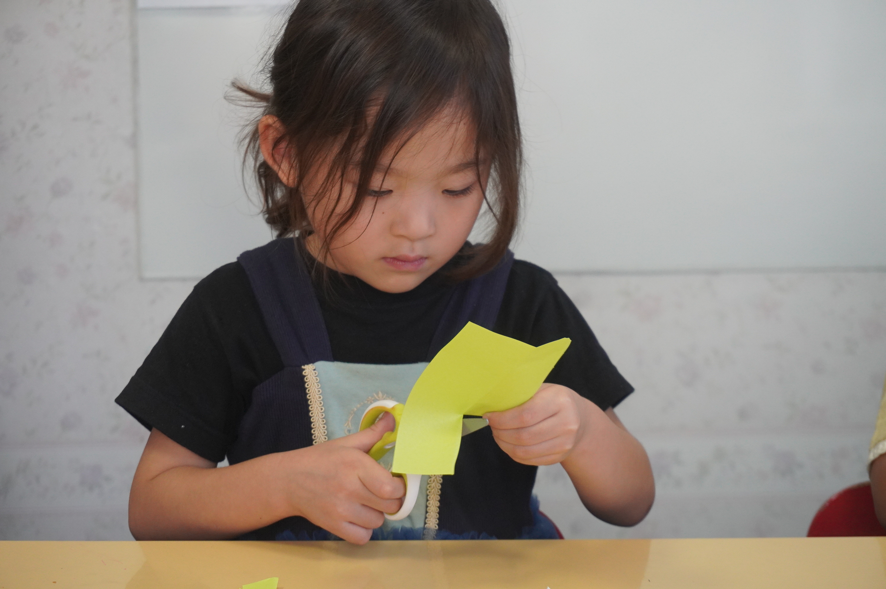 �u�v���c�����v�Ƃ́H3